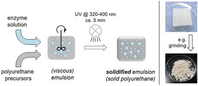 Preparation and Characterization of Enzyme Compartments in UV-Cured Polyurethane-Based Materials and Their Application in Enzymatic Reactions